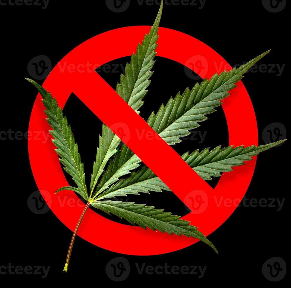 Cannabis leaf, marijuana photo