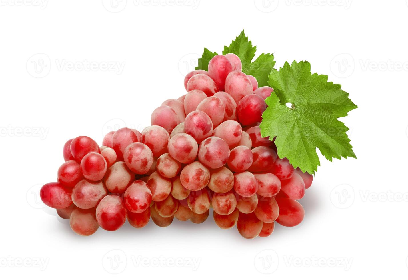 red grape fruit isolated photo
