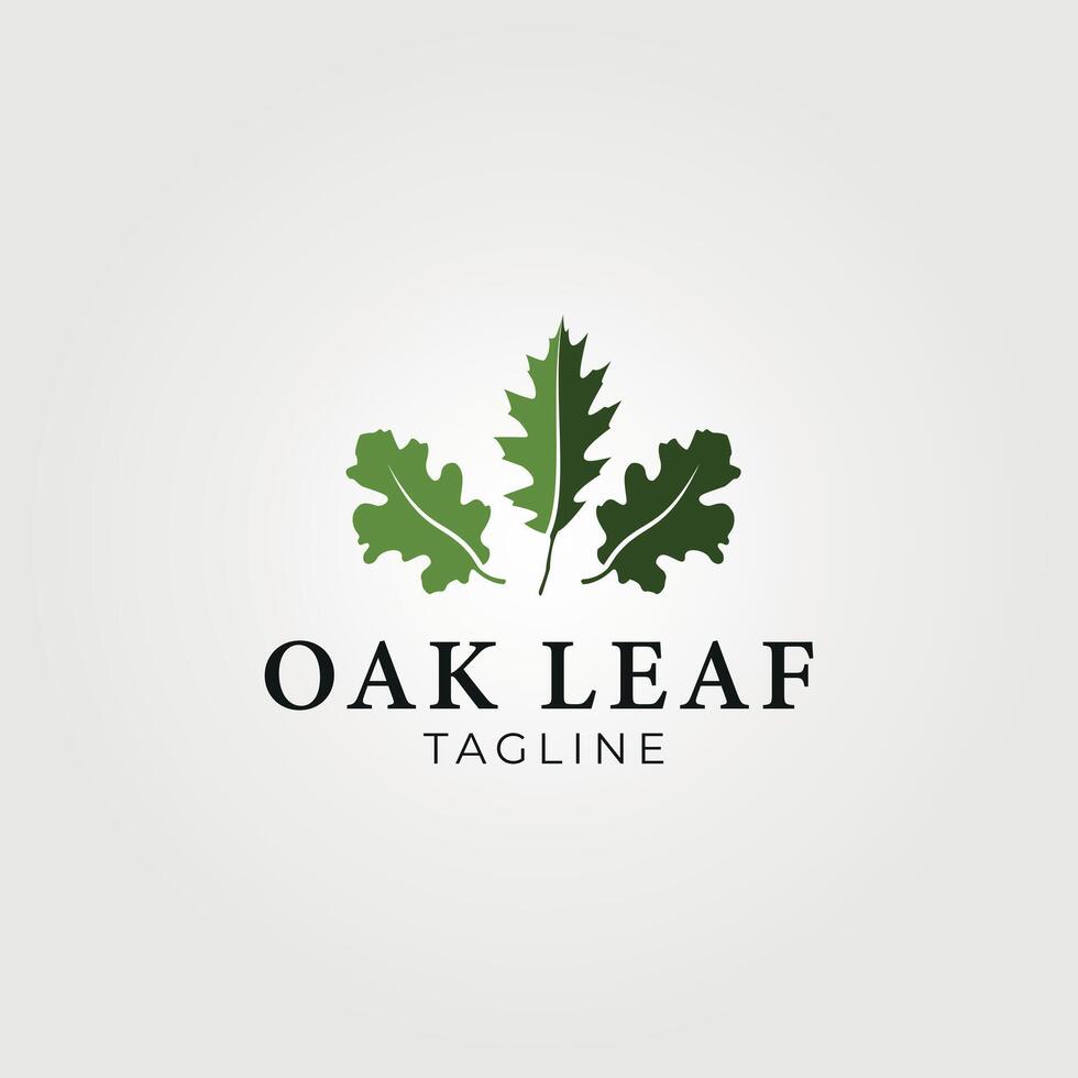 oak leaf logo vector vintage illustration design , color oak leaf