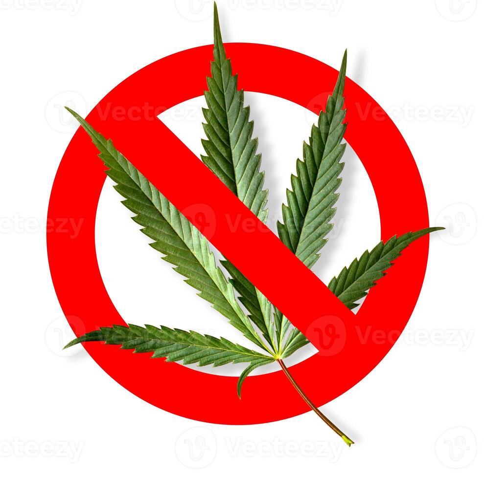 Cannabis leaf, marijuana photo