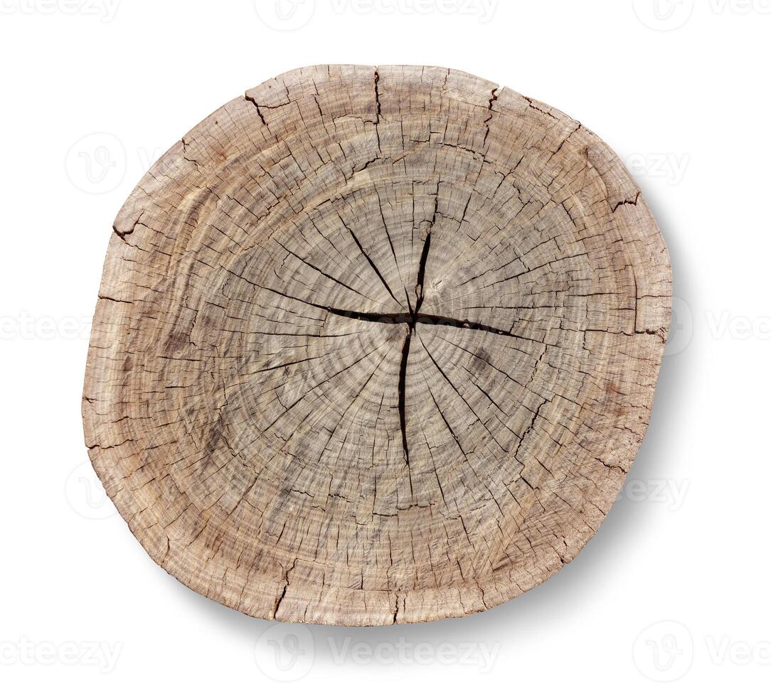 Top view of a tree stump photo