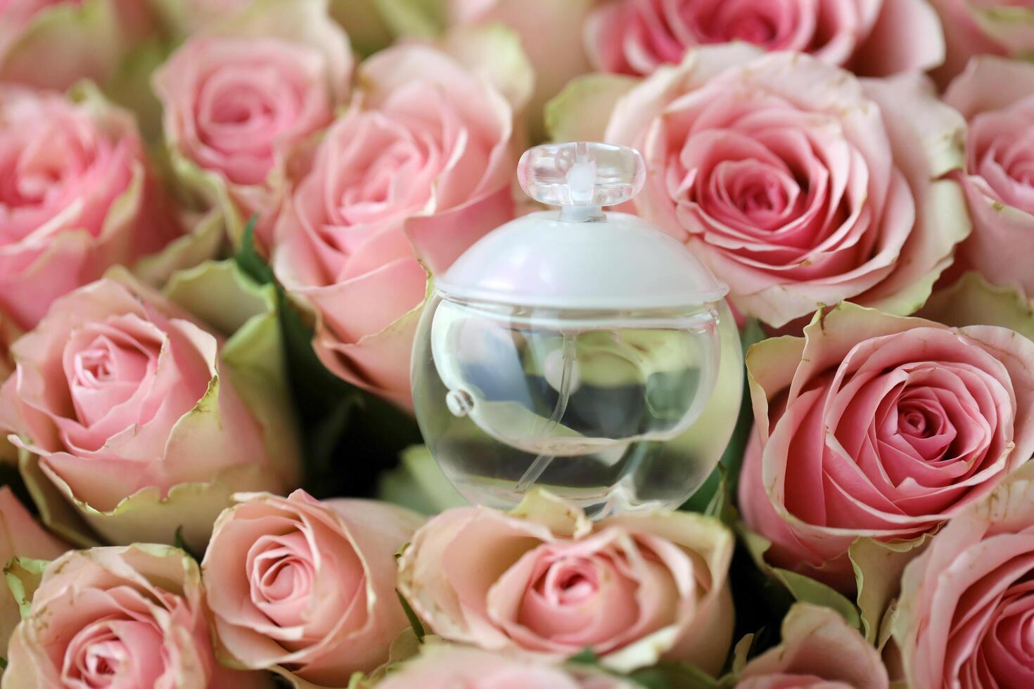 KHARKIV, UKRAINE - JANUARY 2, 2021 Perfume bottle of Noa by Cacharel, a French company of ready to wear clothing, perfume and accessories founded in 1958 photo