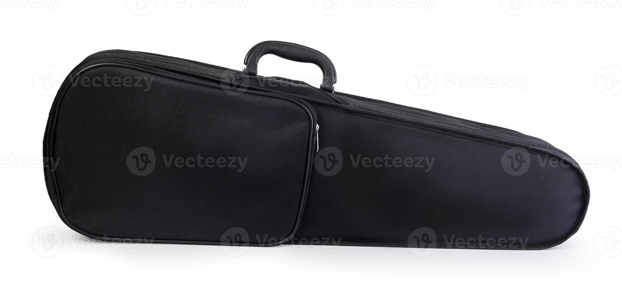 Violin Case isolated photo