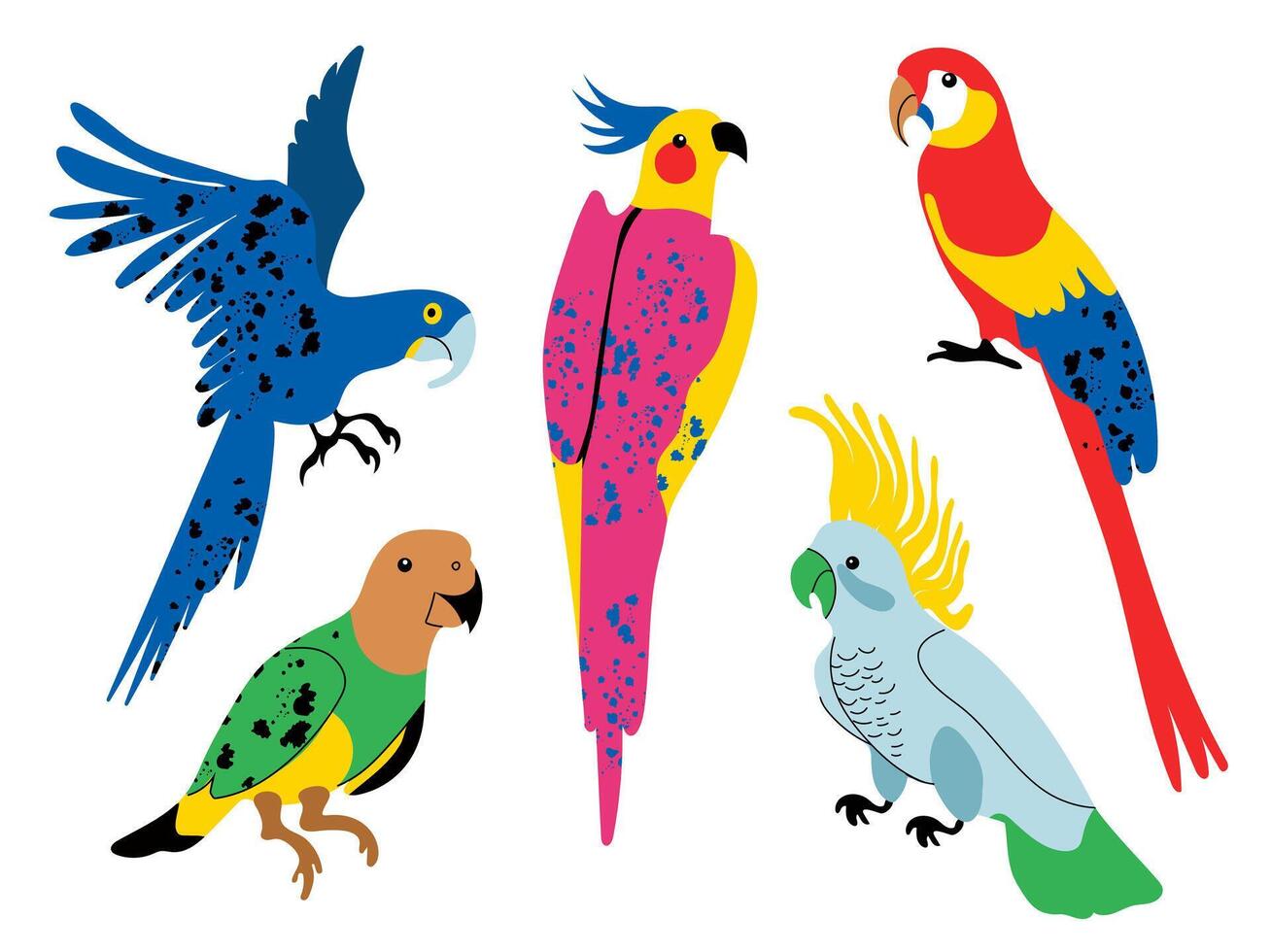 Collection of tropical parrots. Set of illustrations of cute cartoon parrots in bright colors. Vector isolated elements on white background.