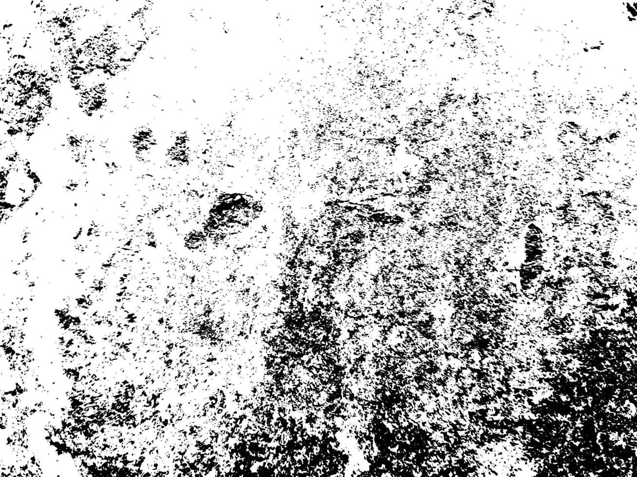 Grunge background black and white. Texture vector