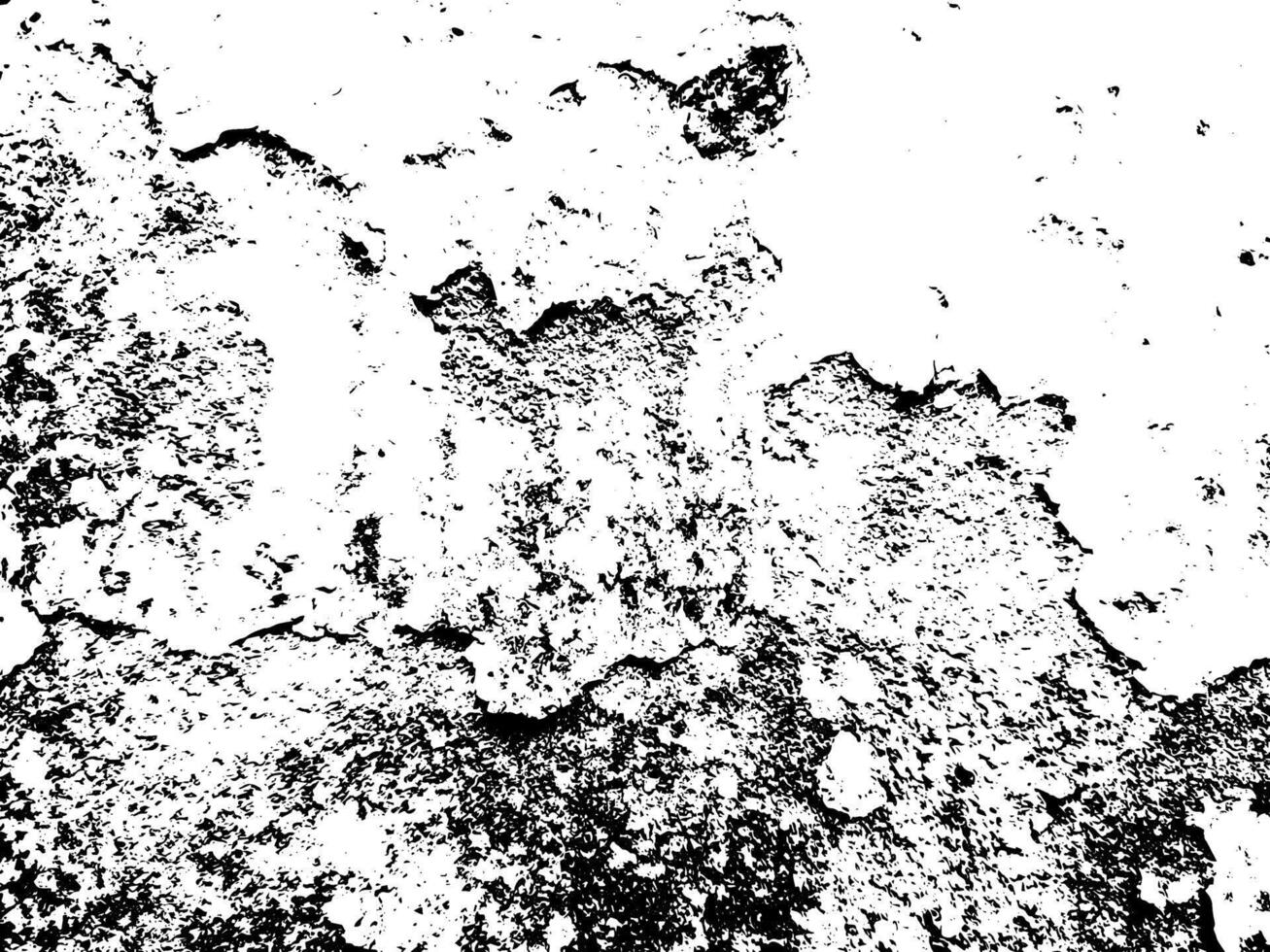 black and white texture vector. Distressed overlay texture vector