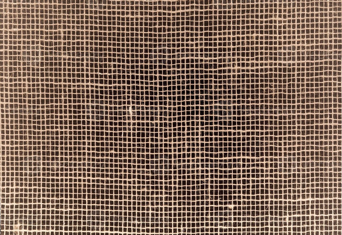 texture of a burlap material photo