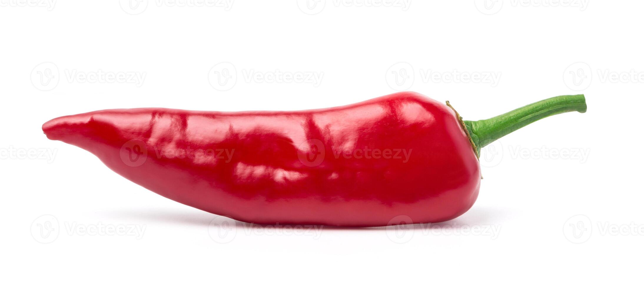 chili pepper isolated photo