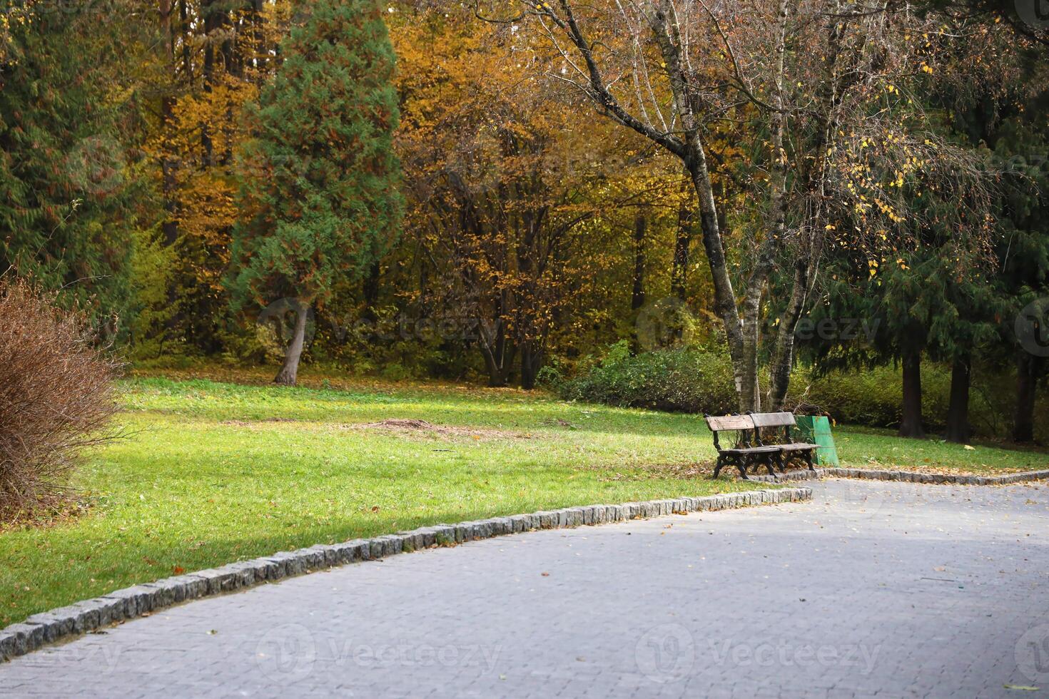 Beautiful Nature Autumn landscape. Scenery view on autumn city park with golden yellow foliage in cloudy day photo