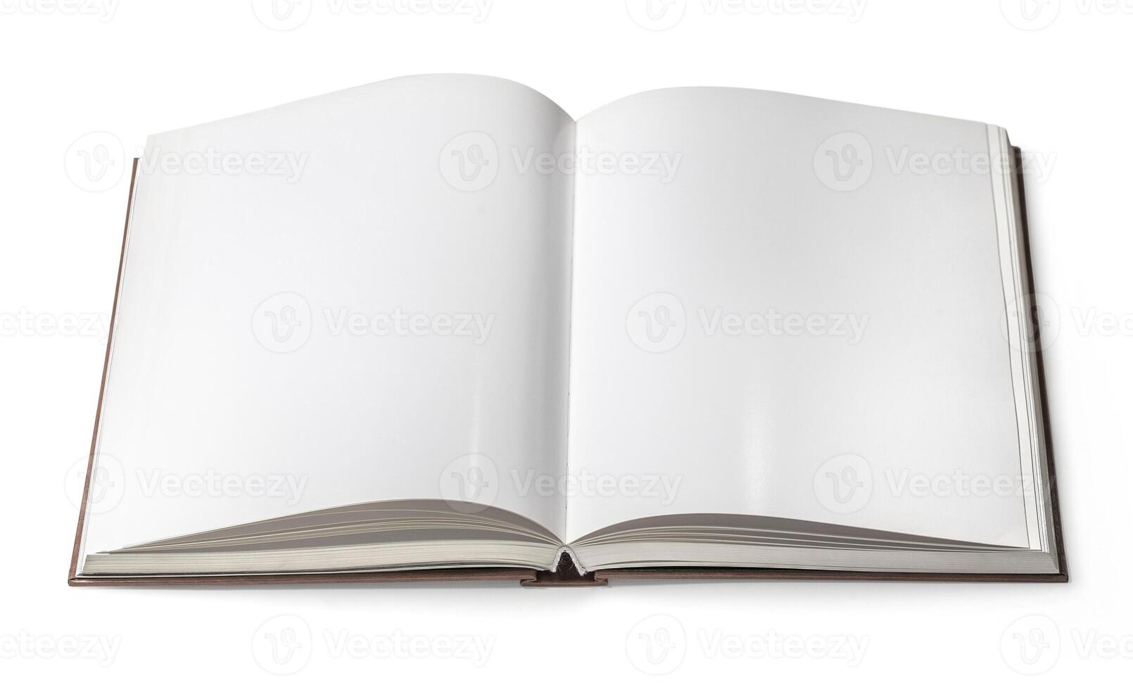 Open book isolated photo