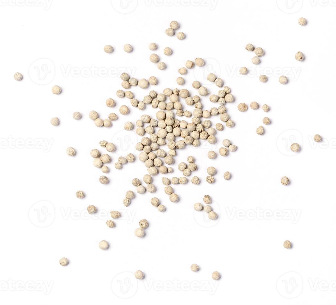 white pepper isolated photo