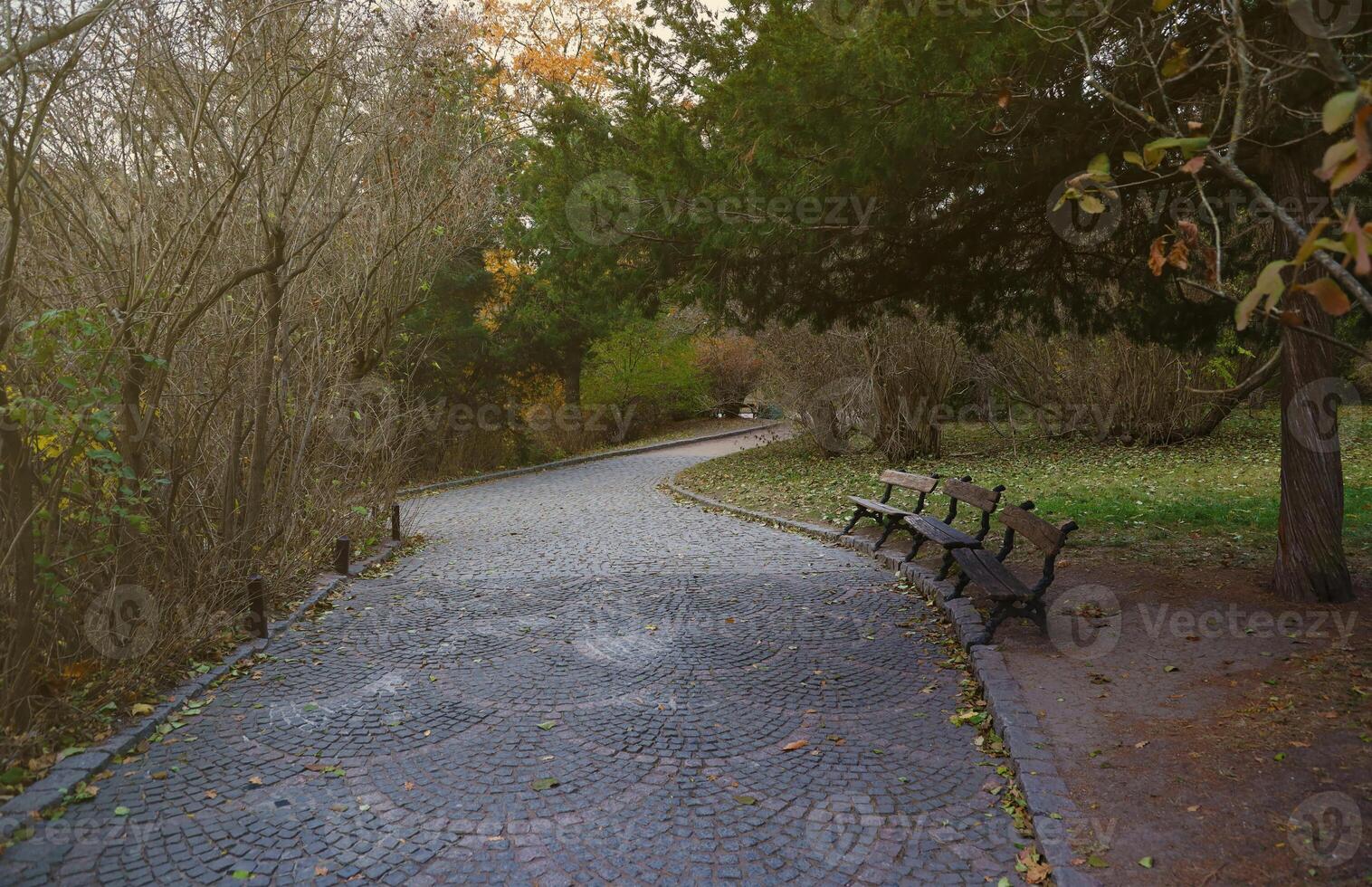 Beautiful Nature Autumn landscape. Scenery view on autumn city park with golden yellow foliage in cloudy day photo