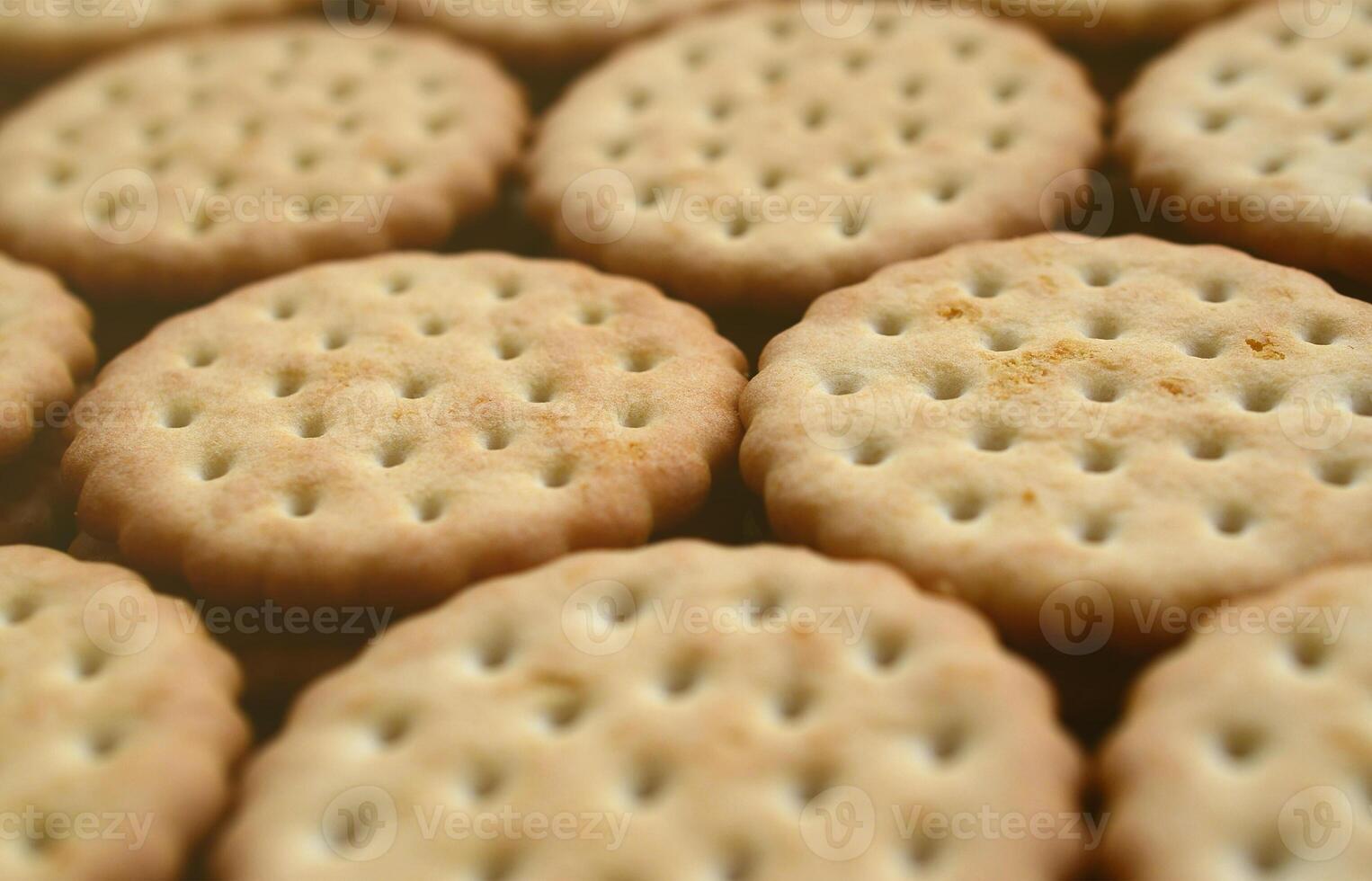 Detailed picture of round sandwich cookies with coconut filling. Background image of a close-up of several treats for tea photo