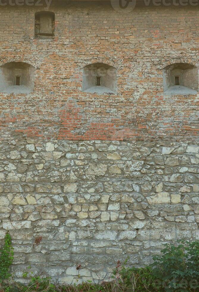 Large stone wall of an ancient castle, overgrown with massive ivy branches in Lviv, Ukraine photo