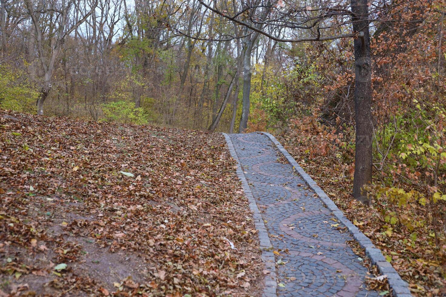 Beautiful Nature Autumn landscape. Scenery view on autumn city park with golden yellow foliage in cloudy day photo