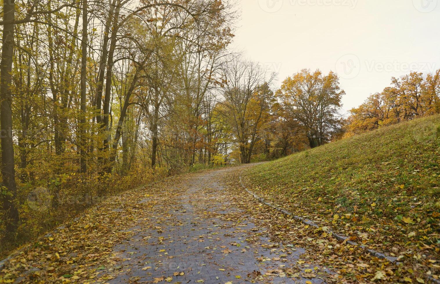 Beautiful Nature Autumn landscape. Scenery view on autumn city park with golden yellow foliage in cloudy day photo