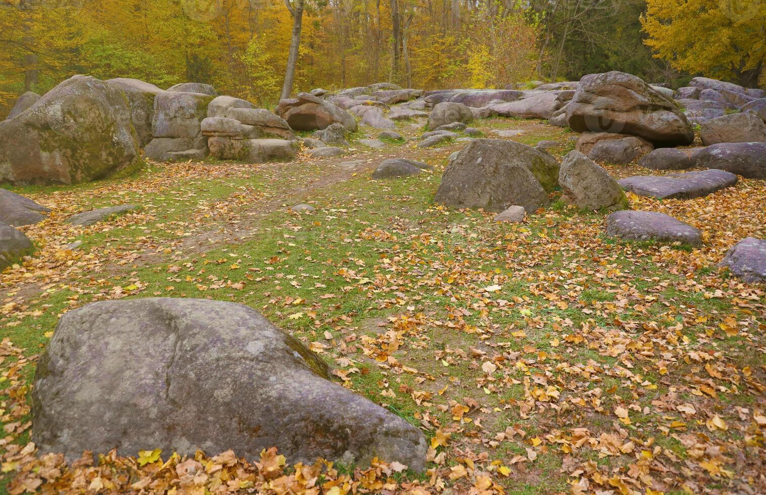 Beautiful Nature Autumn landscape. Scenery view on autumn city park with golden yellow foliage in cloudy day photo