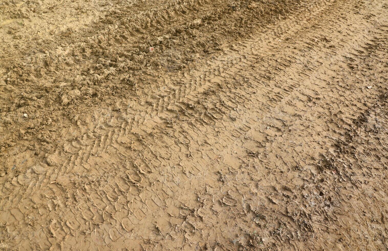 Wheel track on mud. Traces of a tractor or heavy off-road car on brown mud in wet meadow photo