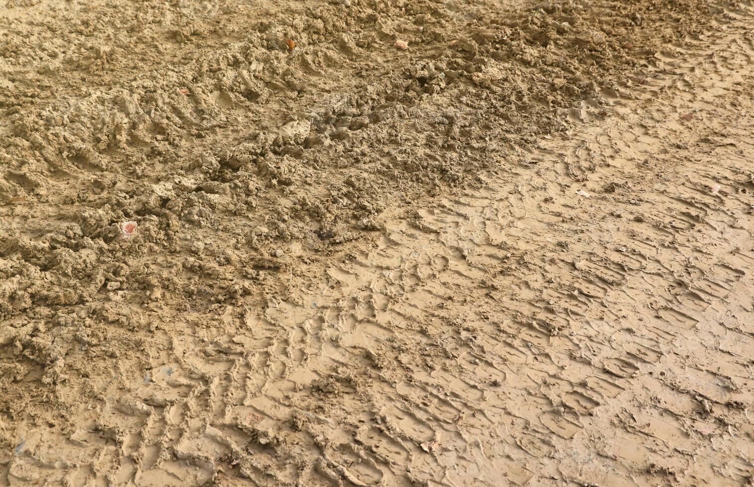 Wheel track on mud. Traces of a tractor or heavy off-road car on brown mud in wet meadow photo
