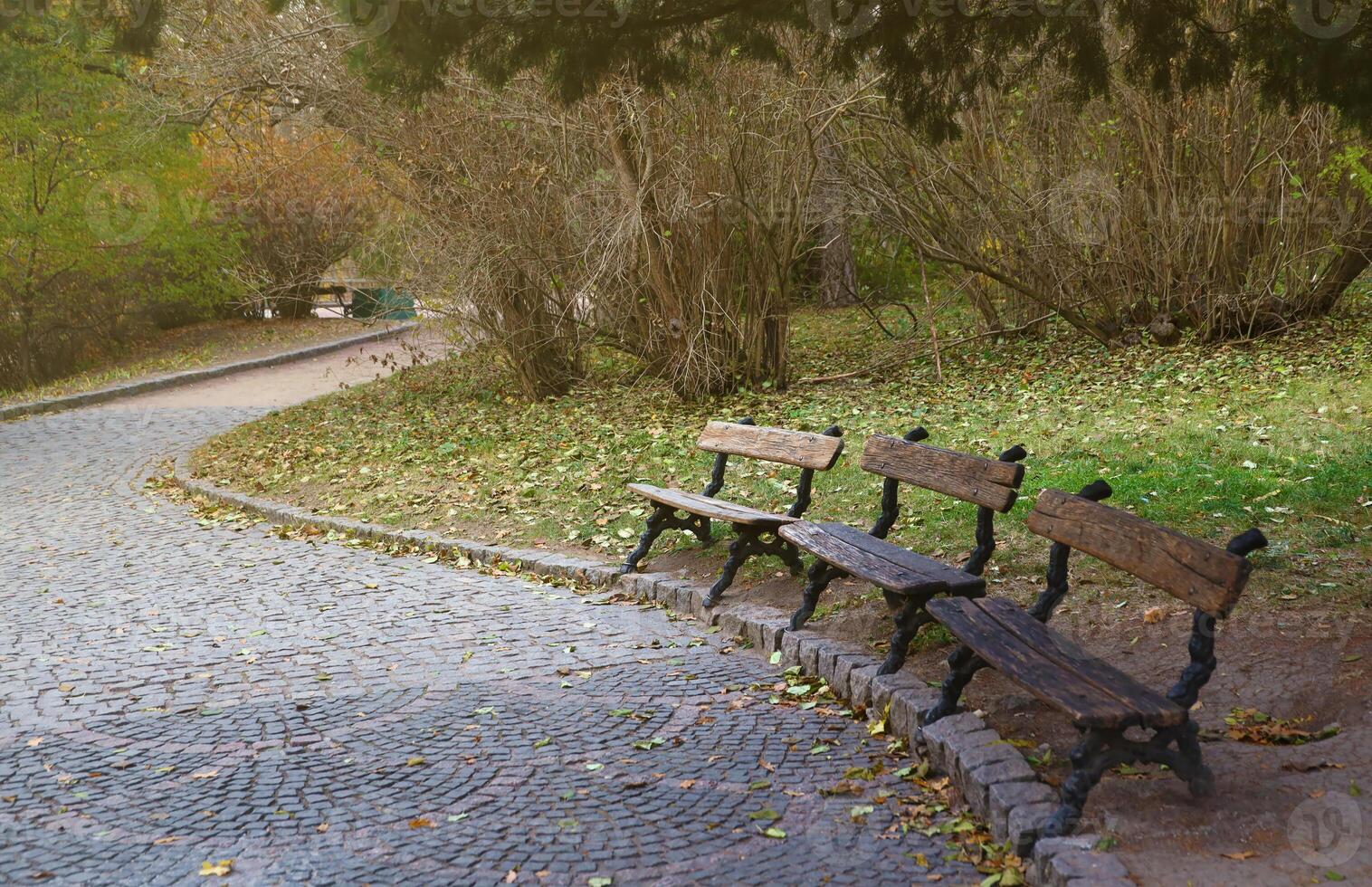 Beautiful Nature Autumn landscape. Scenery view on autumn city park with golden yellow foliage in cloudy day photo