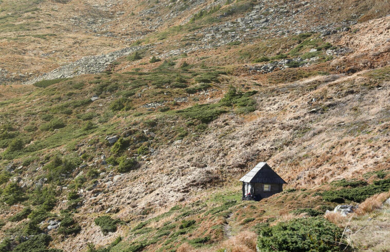 Single wooden hut on hilly mountains terrain with fir trees and rough relief. Coniferous forest in the foreground. Tourism, travel photo