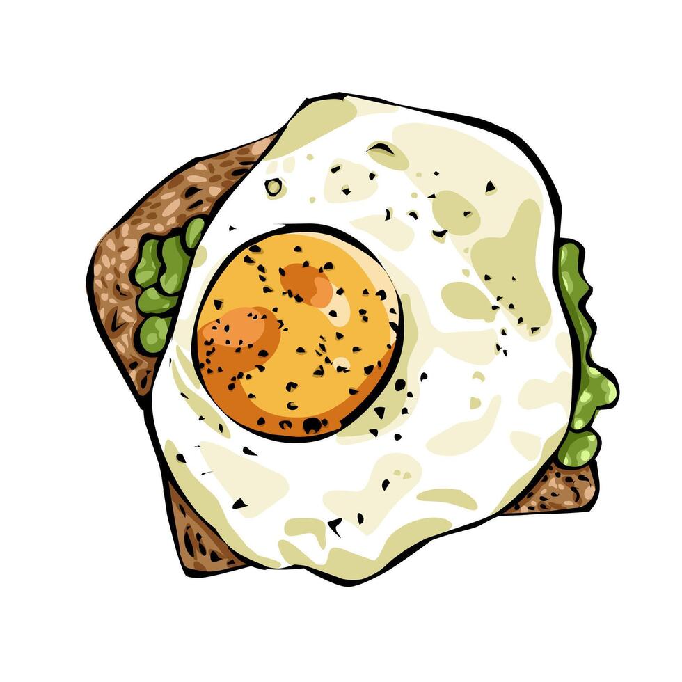 ilustración de frito huevos con blanco un pan y lechuga para desayuno vector