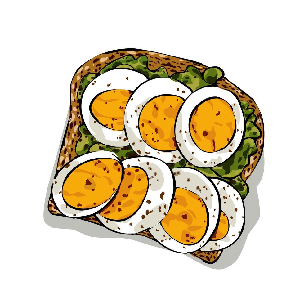boiled eggs with whole wheat toast and lettuce for breakfast vector