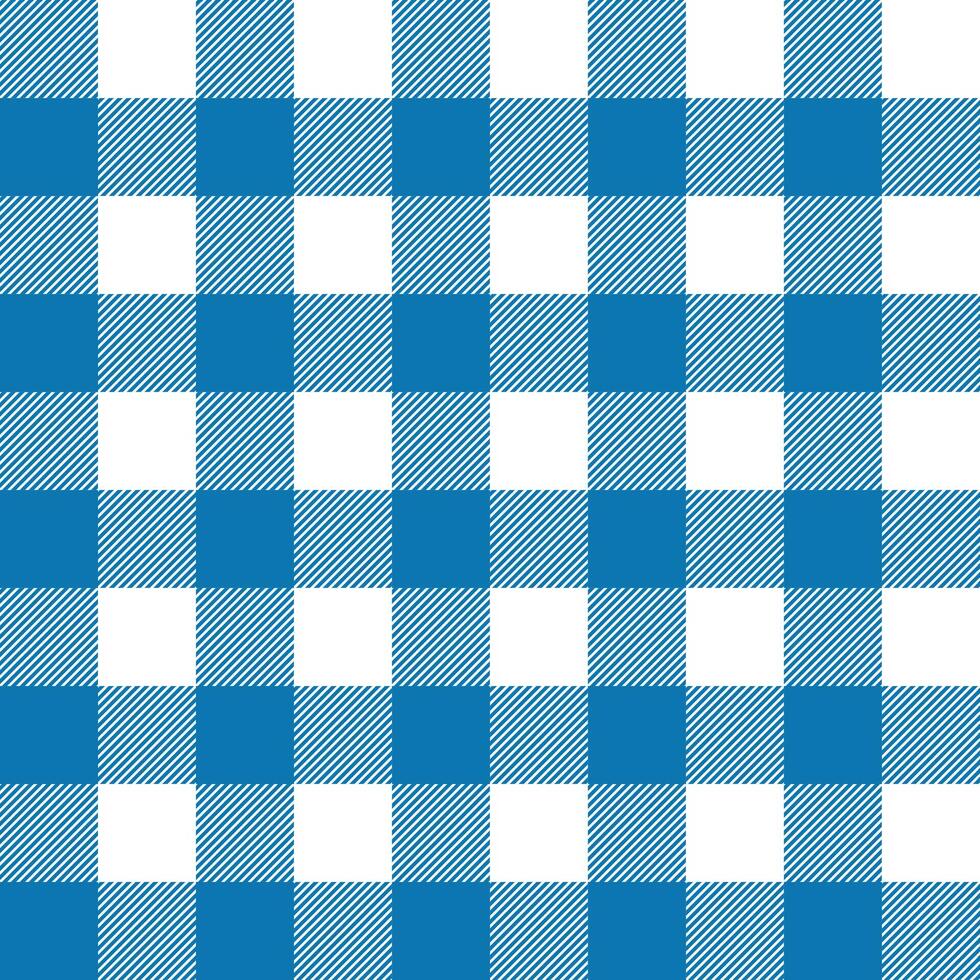 blue checkered fabric. Textile design. Fabric print. blue and white geometric texture. design for any purpose vector