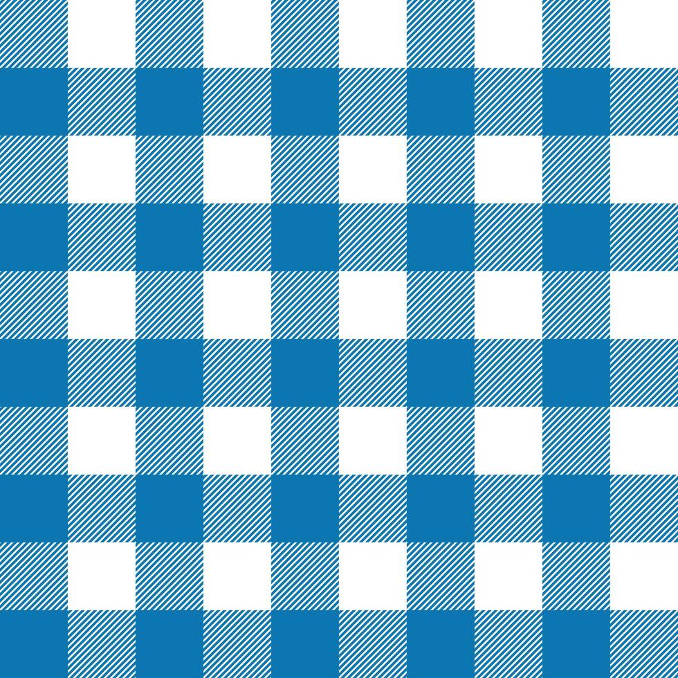 blue checkered fabric. Textile design. Fabric print. blue and white geometric texture. design for any purpose vector