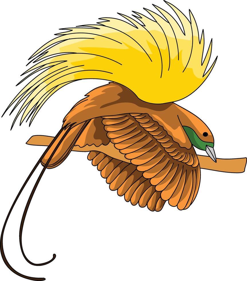 a bird of paradise is perched on a branch vector
