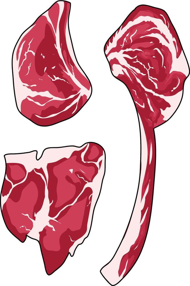 Set of fresh meat. Different parts of beef. Vector illustration