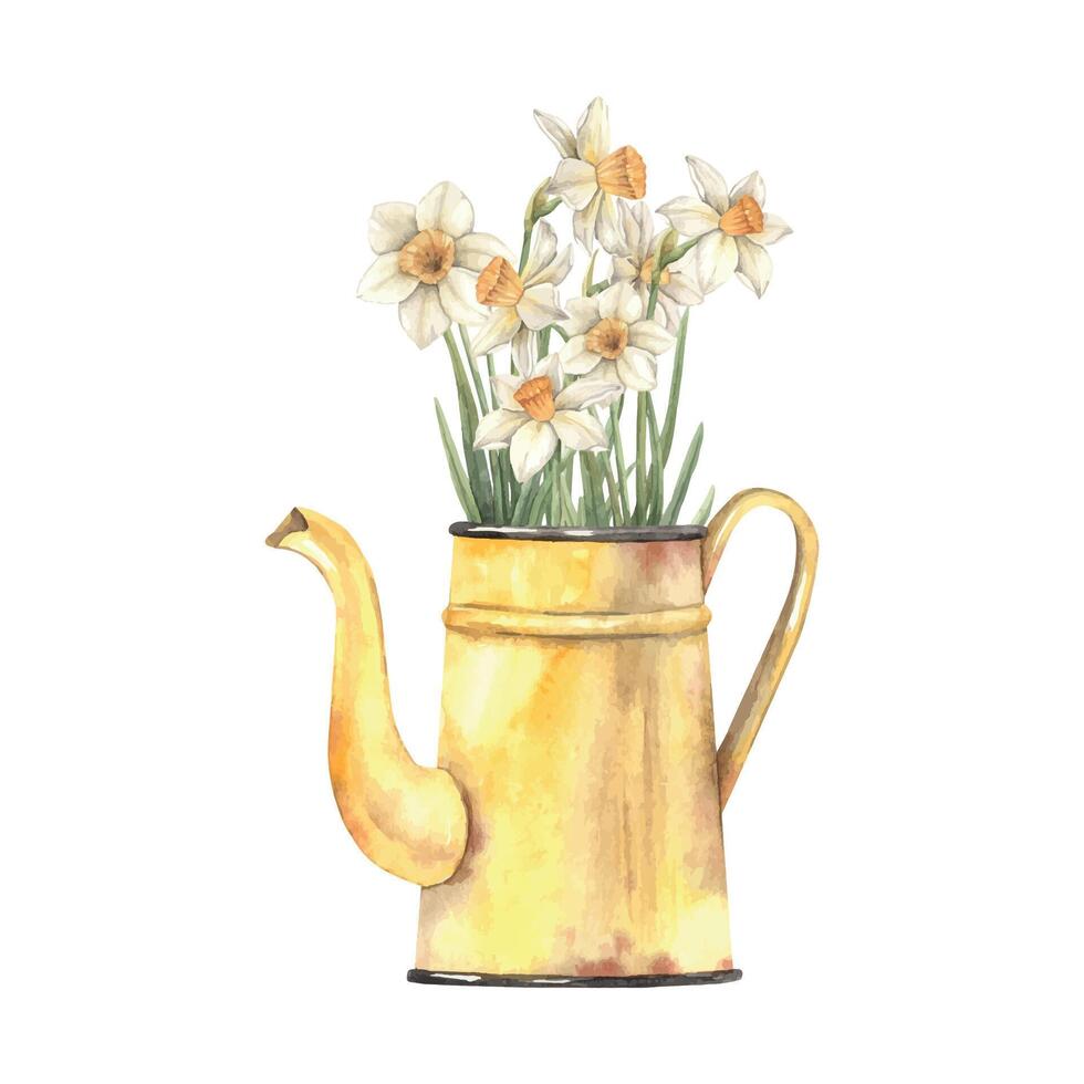 Watercolor floral arrangement with a yellow jug and beautiful daffodils. Hand drawn illustrations on isolated background for greeting cards, invitations, happy holidays, posters, print, label vector