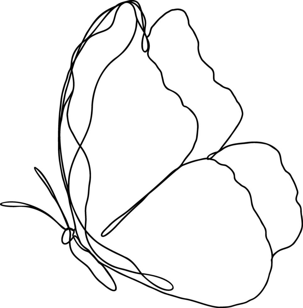 Butterfly Vector Line Art