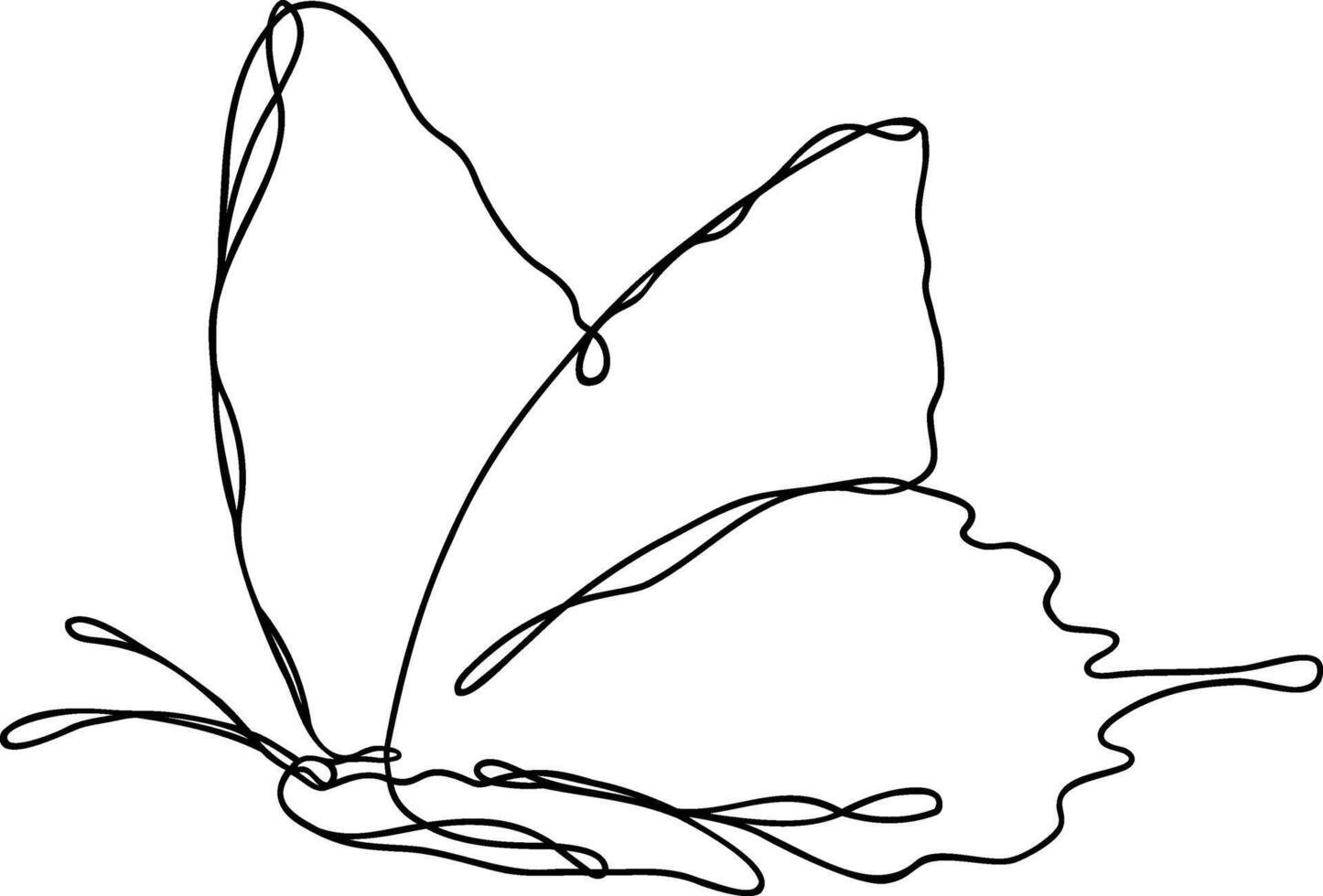 Butterfly Vector Line Art