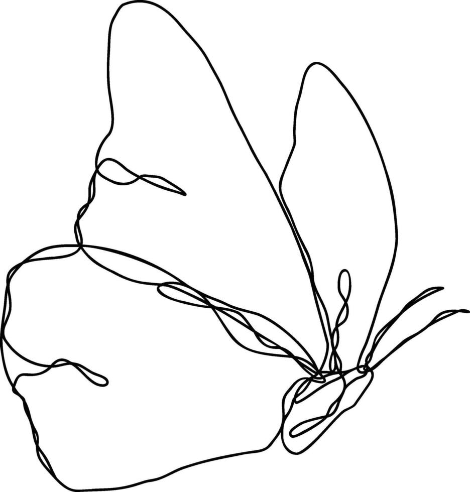 Butterfly Vector Line Art