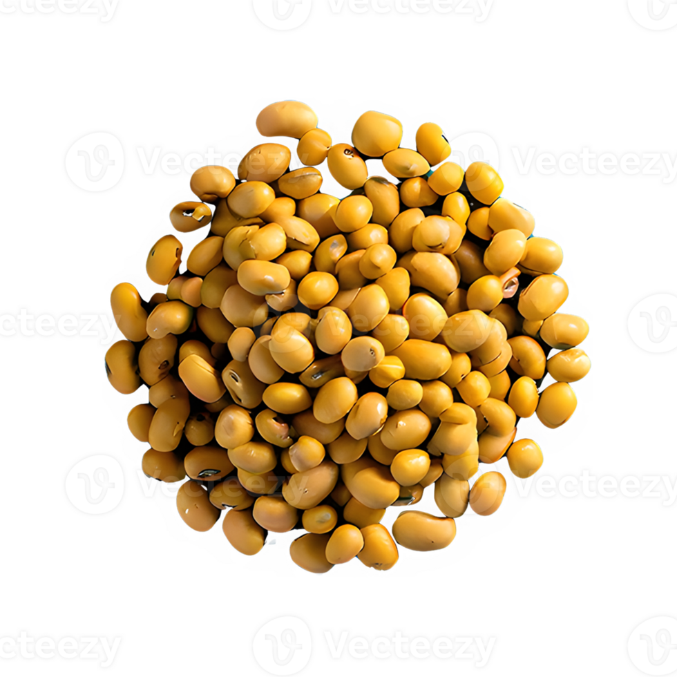AI generated Roasted soybeans isolated on transparent background png