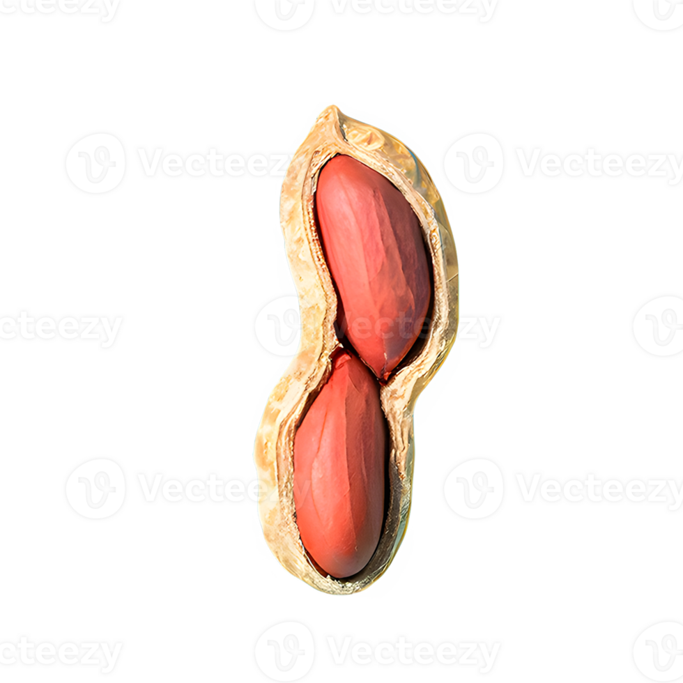 AI generated Peanuts isolated on transparent background png