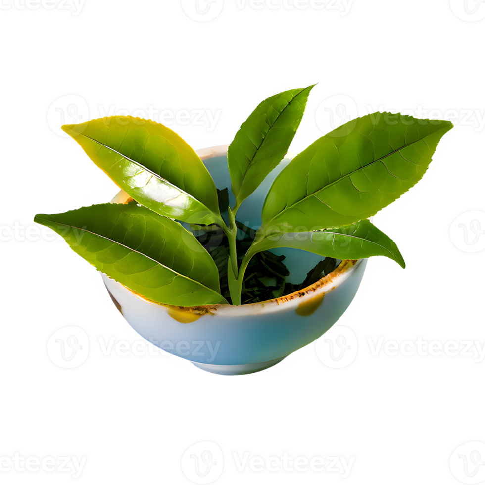 AI generated Green tea leaves isolated on transparent background png