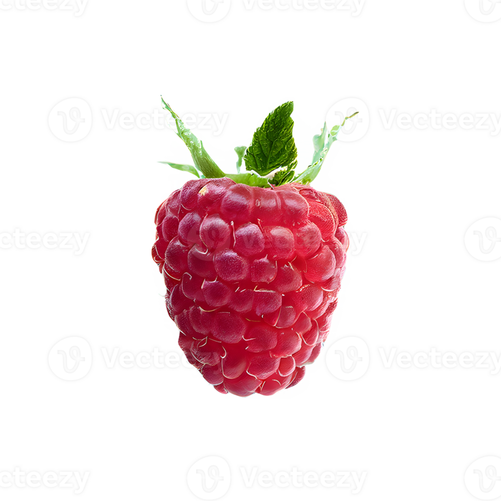 AI generated Fresh raspberry isolated on transparent background png
