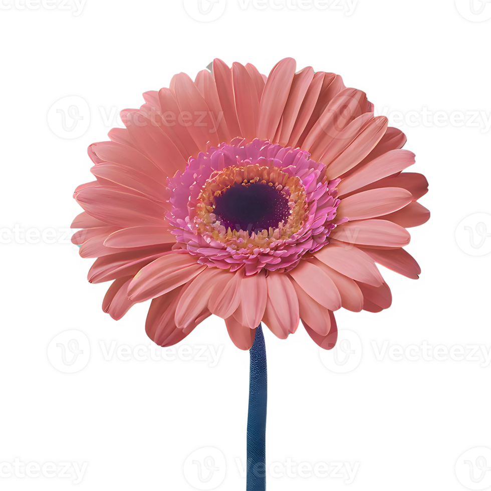 AI generated Gerbera daisy flower isolated on transparent background png
