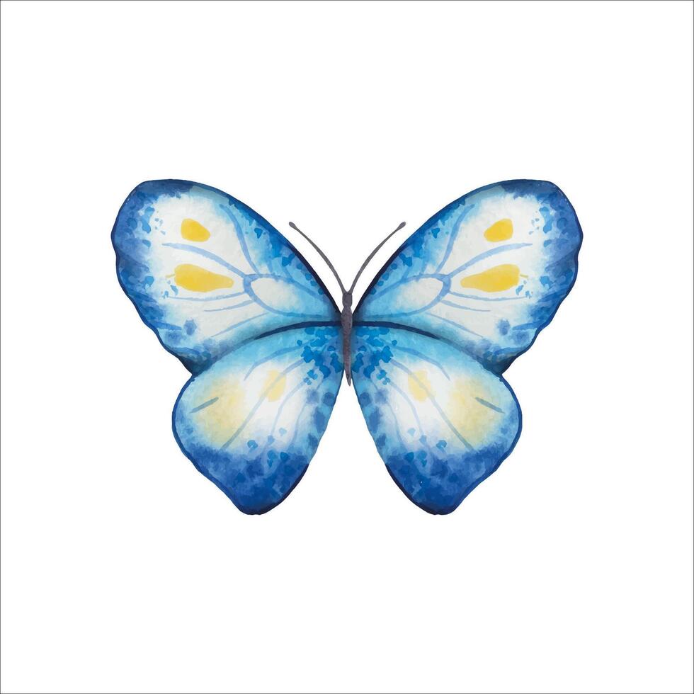 Hand drawn abstract butterfly in blue, yellow tones vector