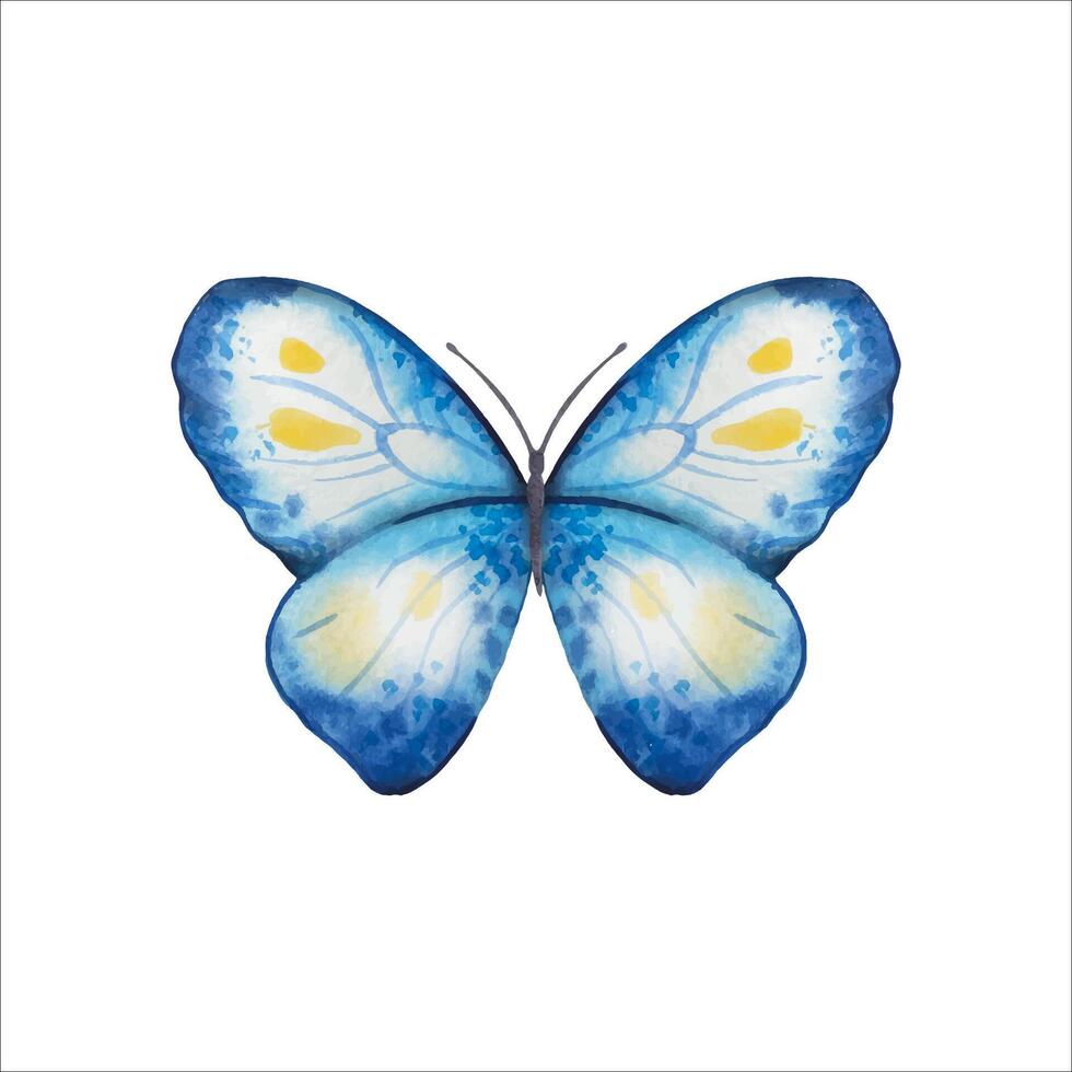 Hand drawn abstract butterfly in blue, yellow tones vector