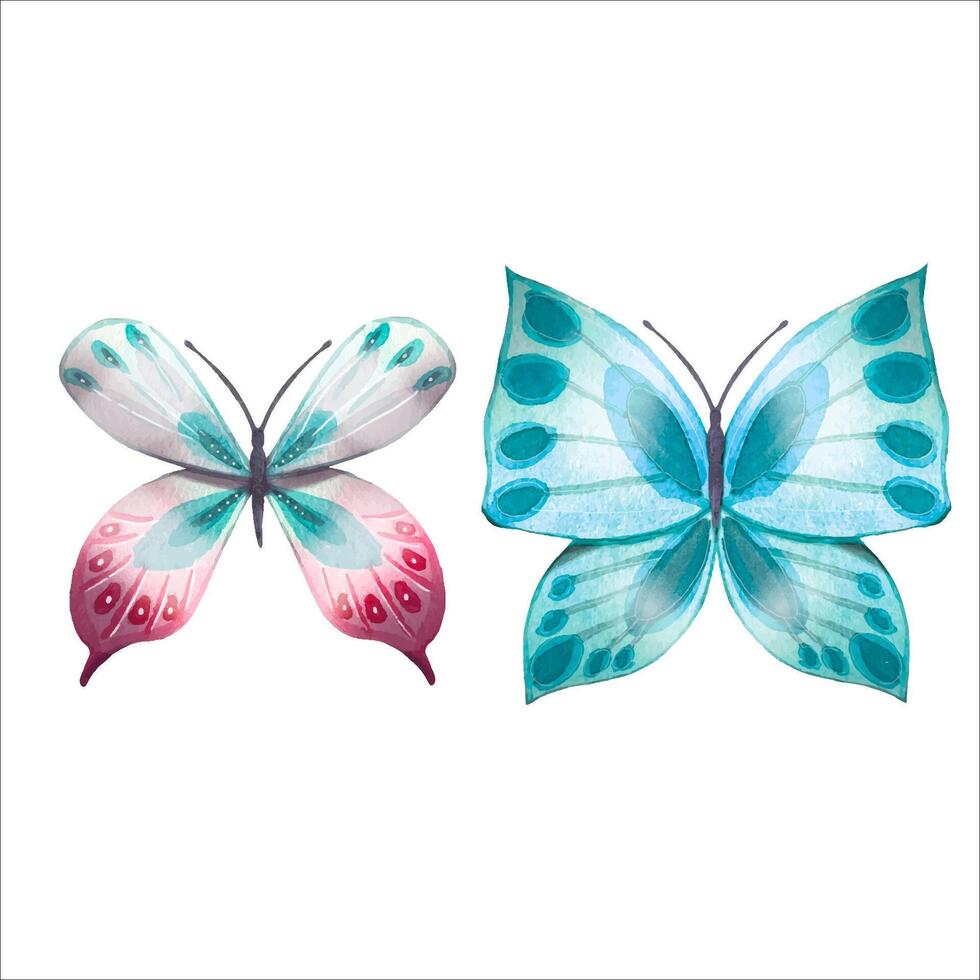 conjunto de dos resumen mariposas con hermosa alas.acuarela ilustración para diseñadores, tipografía, libros, tarjetas, para impresión. vector