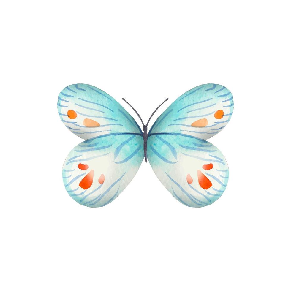 Hand drawn abstract butterfly in blue,red tones on a white background vector