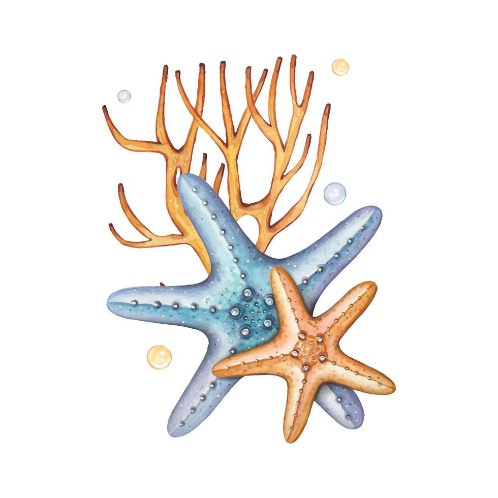 mano dibujado estrella de mar con algas, acuarela composición vector