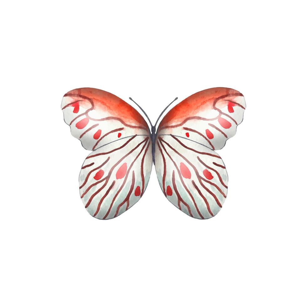 Hand drawn abstract butterfly in red tones vector