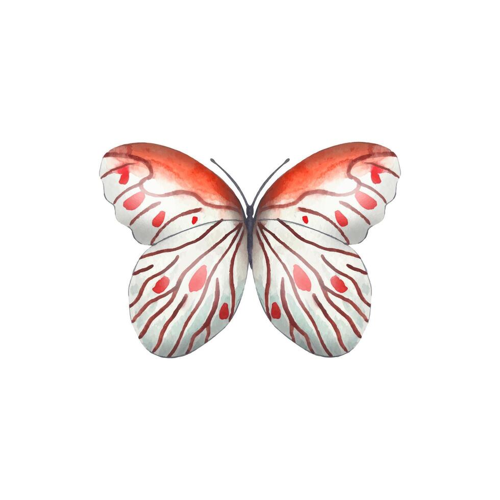 Hand drawn abstract butterfly in red tones vector