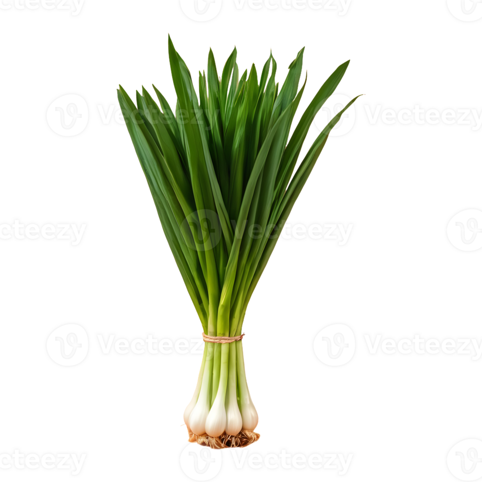 AI generated Scallions on transparent background isolated png