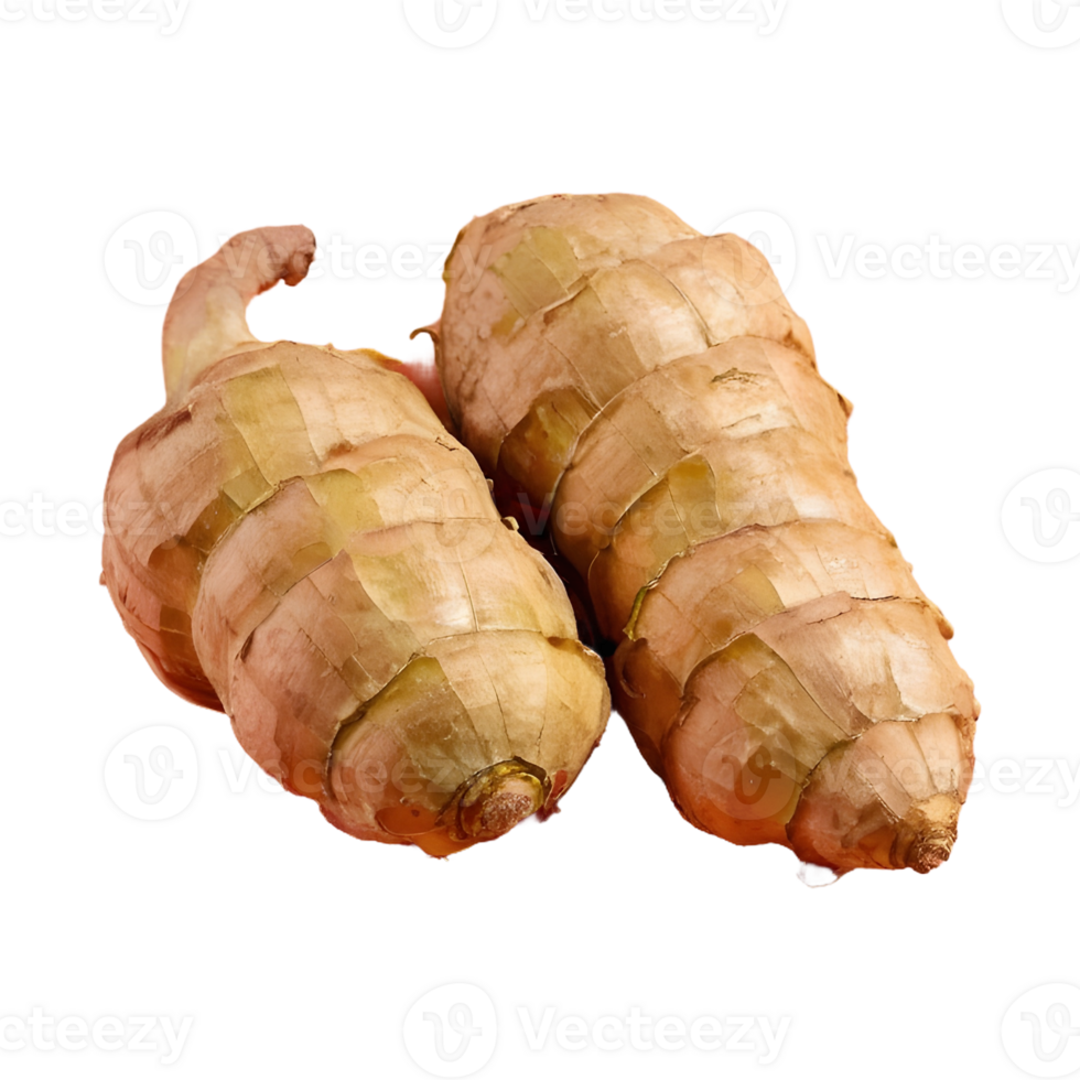 AI generated Transparent background highlights fresh ginger isolated png