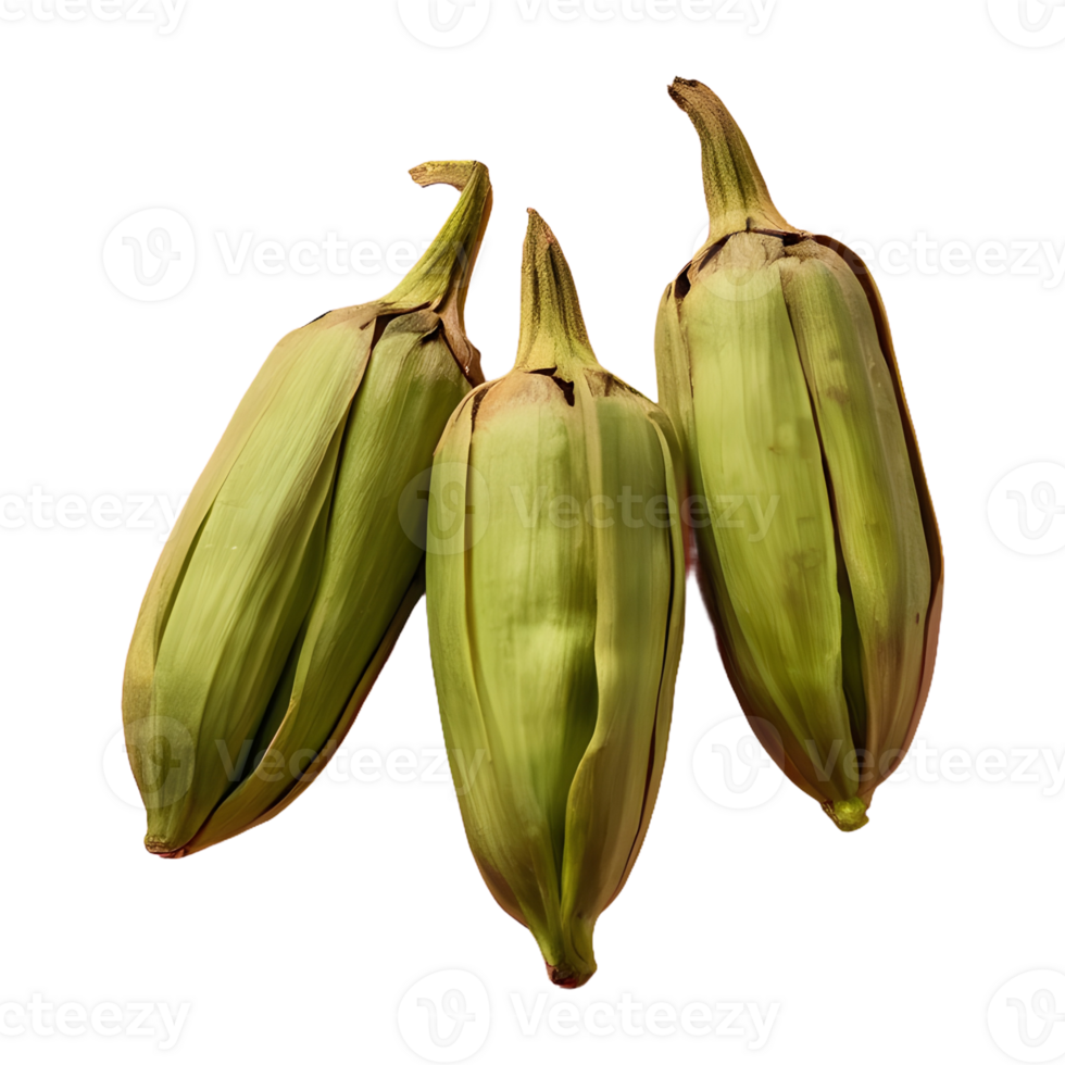 AI generated Three cardamom pods on transparent background isolated png